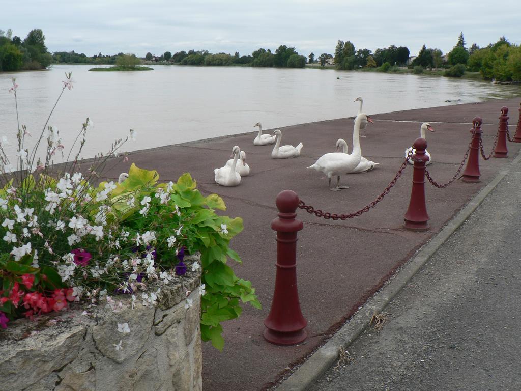 Gites Face Riviere Saint-Emilion Vignonet Buitenkant foto