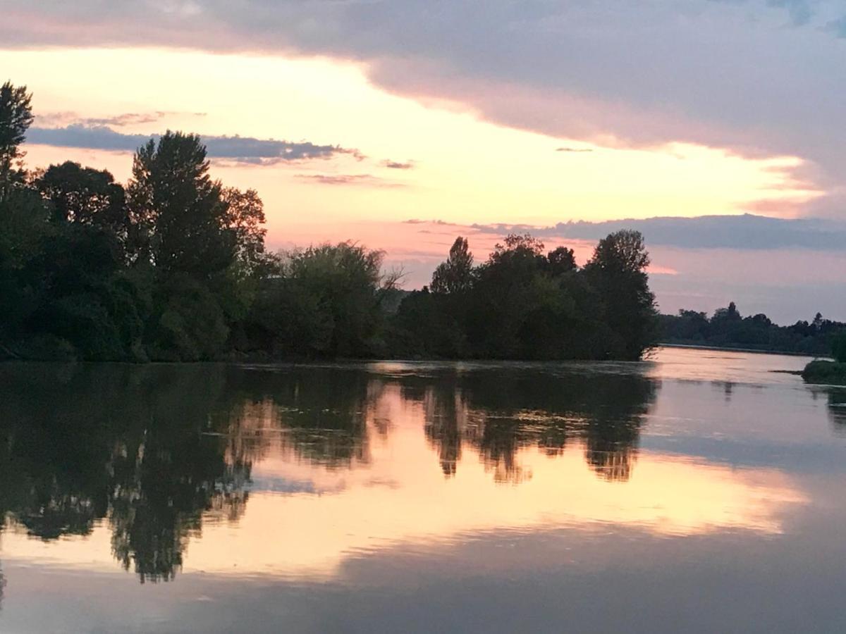 Gites Face Riviere Saint-Emilion Vignonet Buitenkant foto